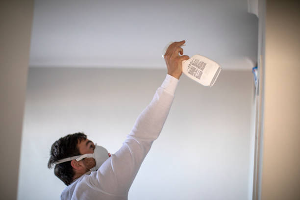 Best Fast Mold Removal  in Cedar Rapids, IA