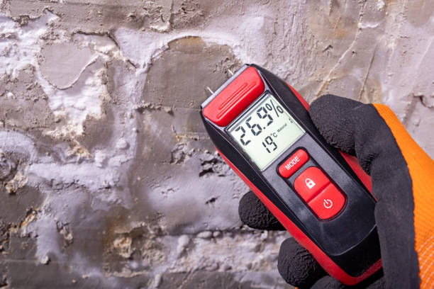 Best Residential Mold Removal  in Cedar Rapids, IA