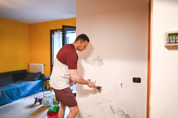 Best Professional Mold Removal  in Cedar Rapids, IA